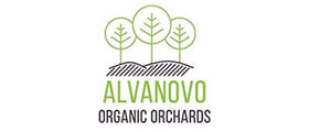Лого ALVANOVO